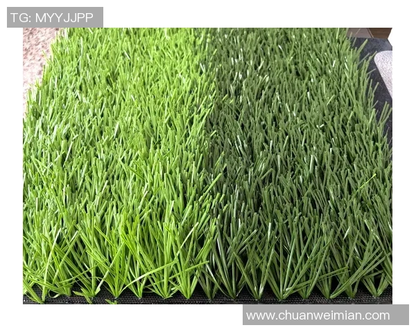 成都足球草坪建设与维护的最佳实践与未来发展趋势探讨